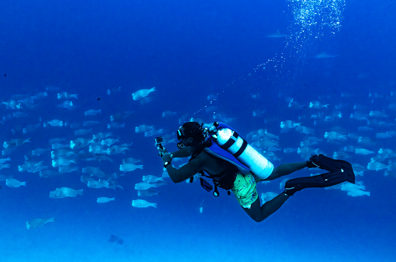 Jonas films the bumphead parrotfish spawning.